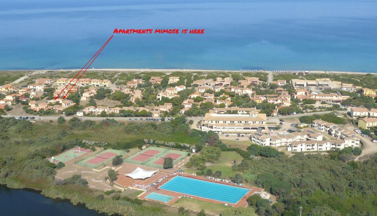 Apartments Mimose Badesi Exterior foto